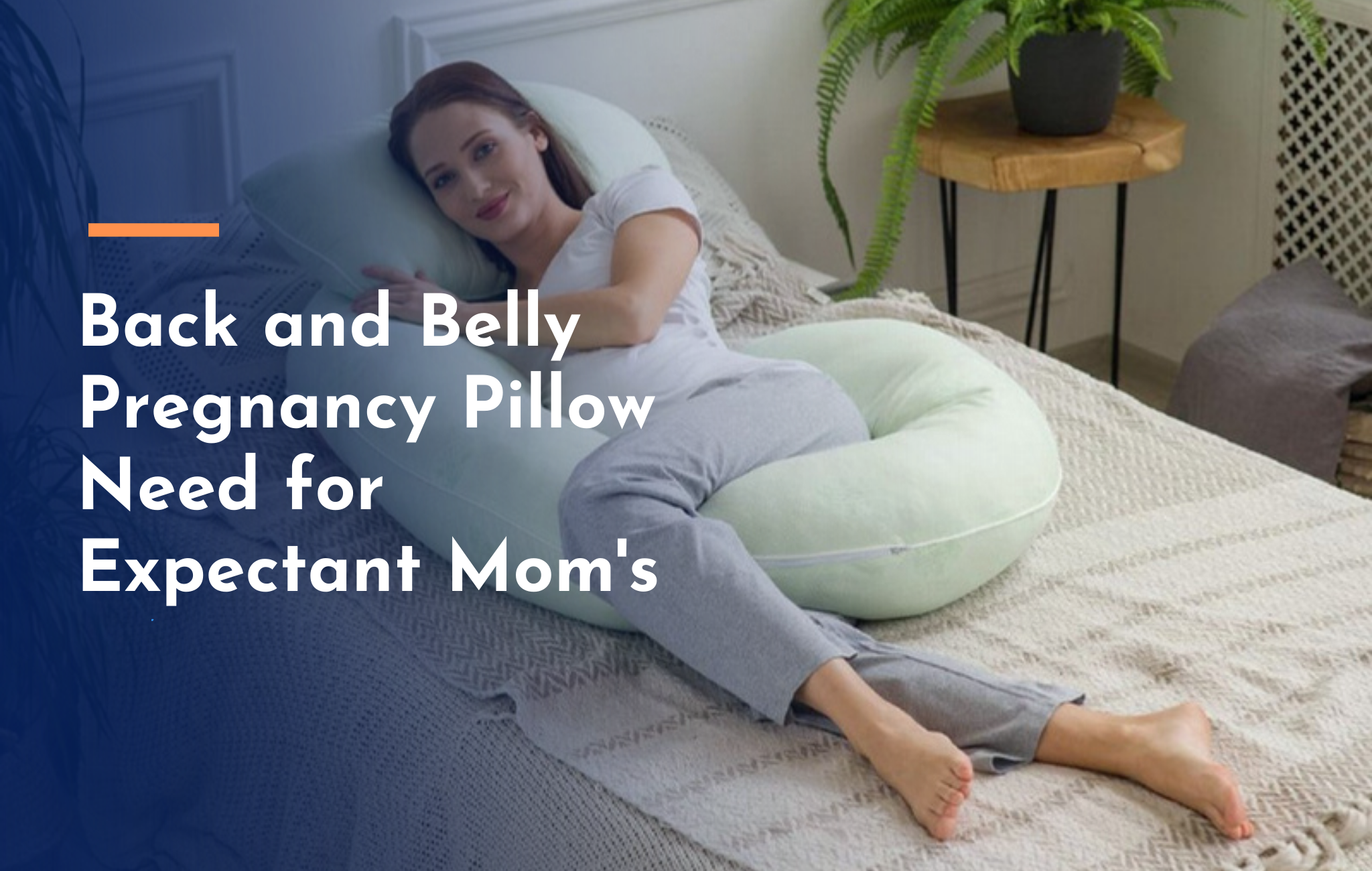 Curated visual reference: Fresh Look at Discover The Benefits Of Back And Belly Pregnancy Pillow