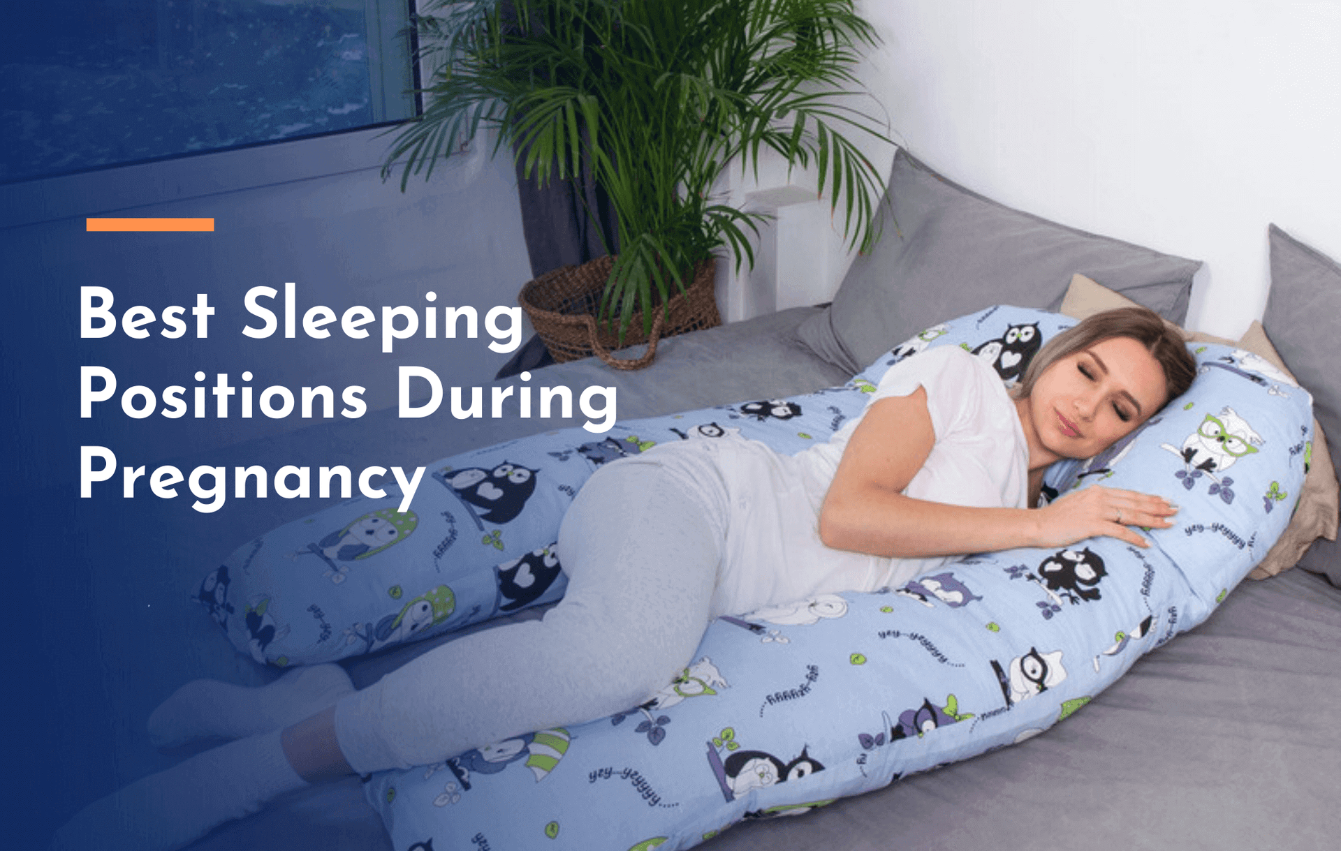 Pregnancy pillow sleeping positions outlet